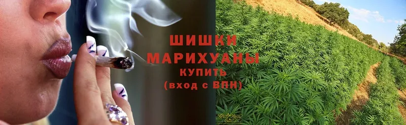 сколько стоит  Нариманов  Шишки марихуана White Widow 